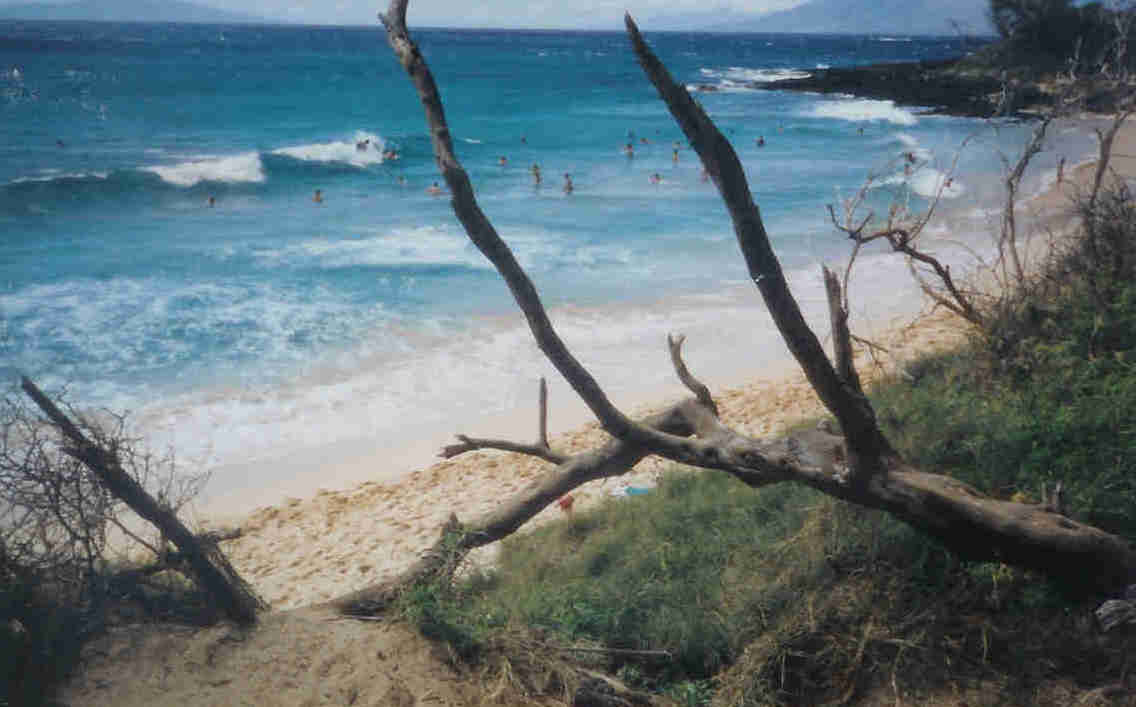 Body Surfing at Little Beach, Maui