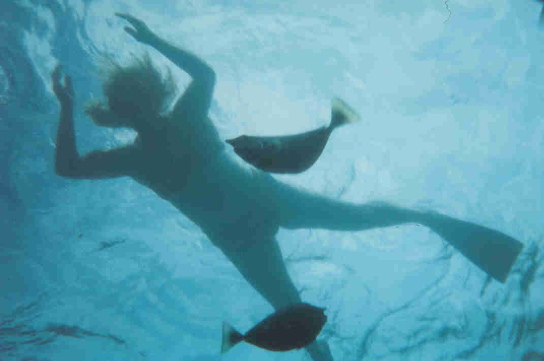 Snorkeling at Black Rock, Kaanapali, Maui