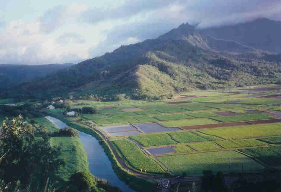 Hanalei River, Kauai