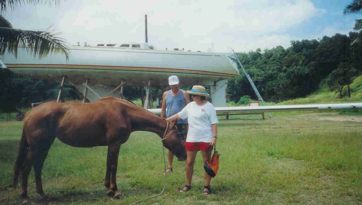 Friendly Horse, Kauai