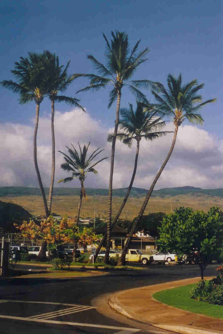 Town Center, Kaunakakai, Molokai